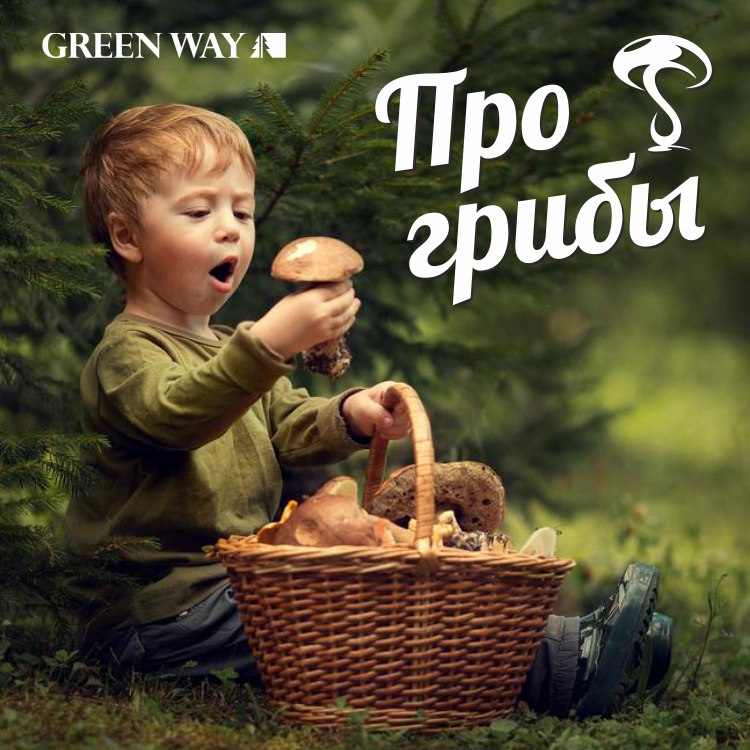 Про грибы.jpg