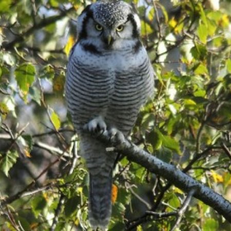 Алматинский природный парк 5.jpg