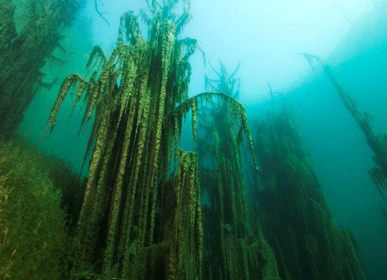 Озеро Каинды 5.jpg