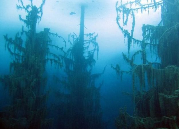 Озеро Каинды 4.jpg