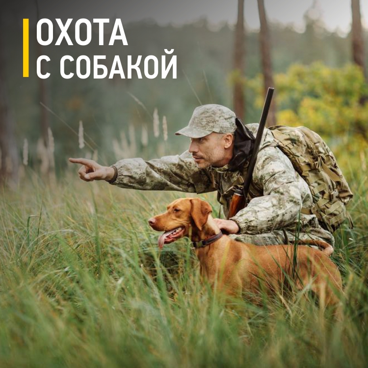 Охота_с_собакой_для_СС,_ИМ.jpg