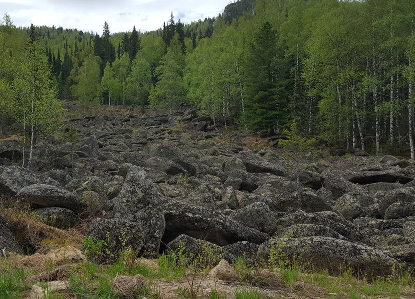 Западно-Алтайский заповедник. Унивкальный Казахстан. Каменный Казахстан. 5.jpg
