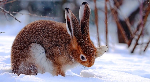 Алматинский природный парк 8.jpg