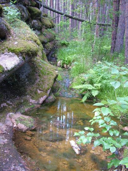 Уникальный Казахстан Природный парк Кокшетау 1.jpg