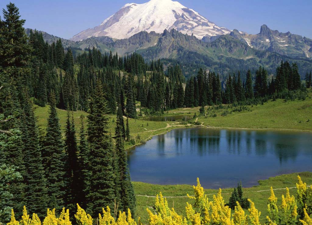 Катон Карагайский природный парк.jpg