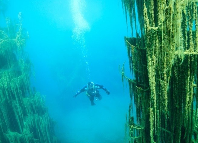 Озеро Каинды 3.jpg