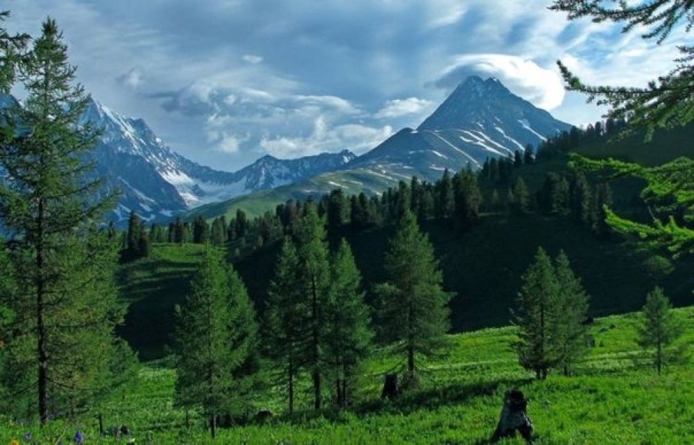 Катон Карагайский природный парк 4.jpg