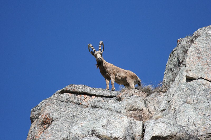 Алматинский природный парк 6.jpg