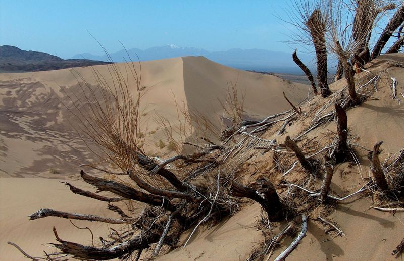 Поющий бархан 1.jpg