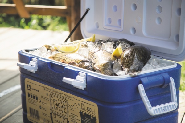 izotermicheskiy_konteyner_tm_arktika_40l_art_2000_40_siniy