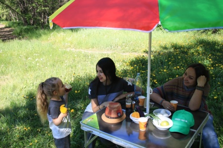 Стол раскладной+ 4 табурета