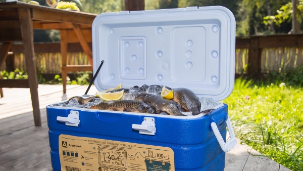 izotermicheskiy_konteyner_tm_arktika_60_l_art_2000_60_zelyenyy