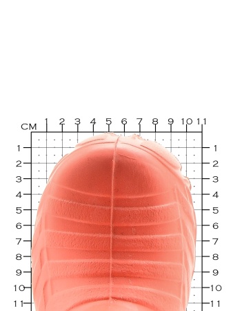 Сапожки детские из полимерного материала