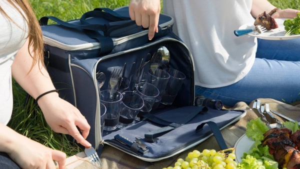 nabor_dlya_piknika_tm_arktika_art_4100_6_siniy