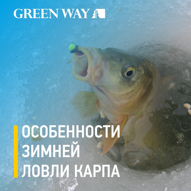 Зимняя_ловля_карпа_СС_ИМ.jpg Зимняя_ловля_карпа_СС_ИМ.jpg