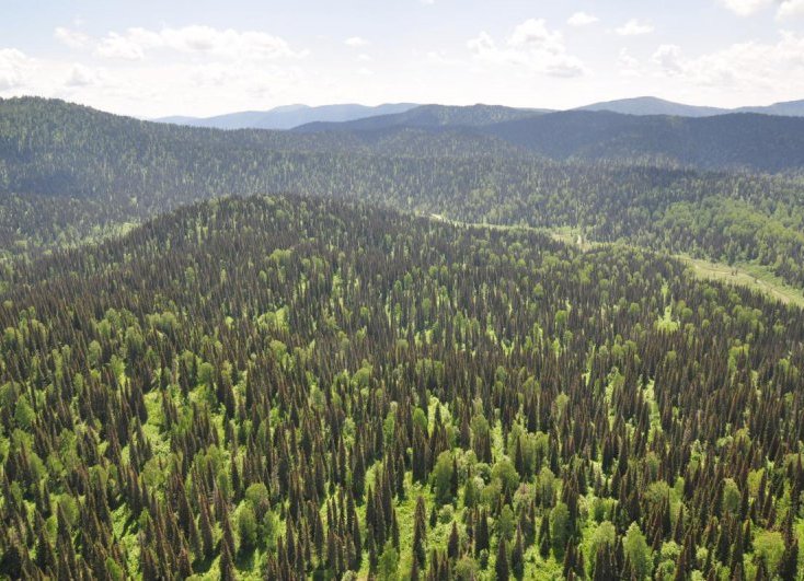 С палаткой по Казахстану зайлийское алатау 6.jpg С палаткой по Казахстану зайлийское алатау 6.jpg