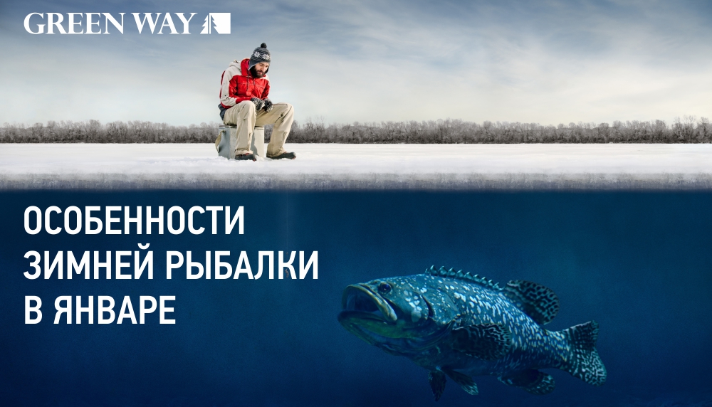 ИМ.jpg ИМ.jpg