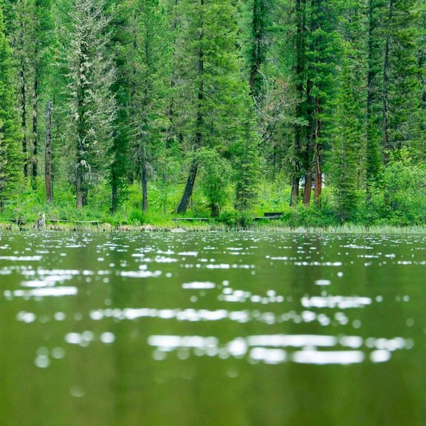 Рахмановское озеро 4.jpg Рахмановское озеро 4.jpg