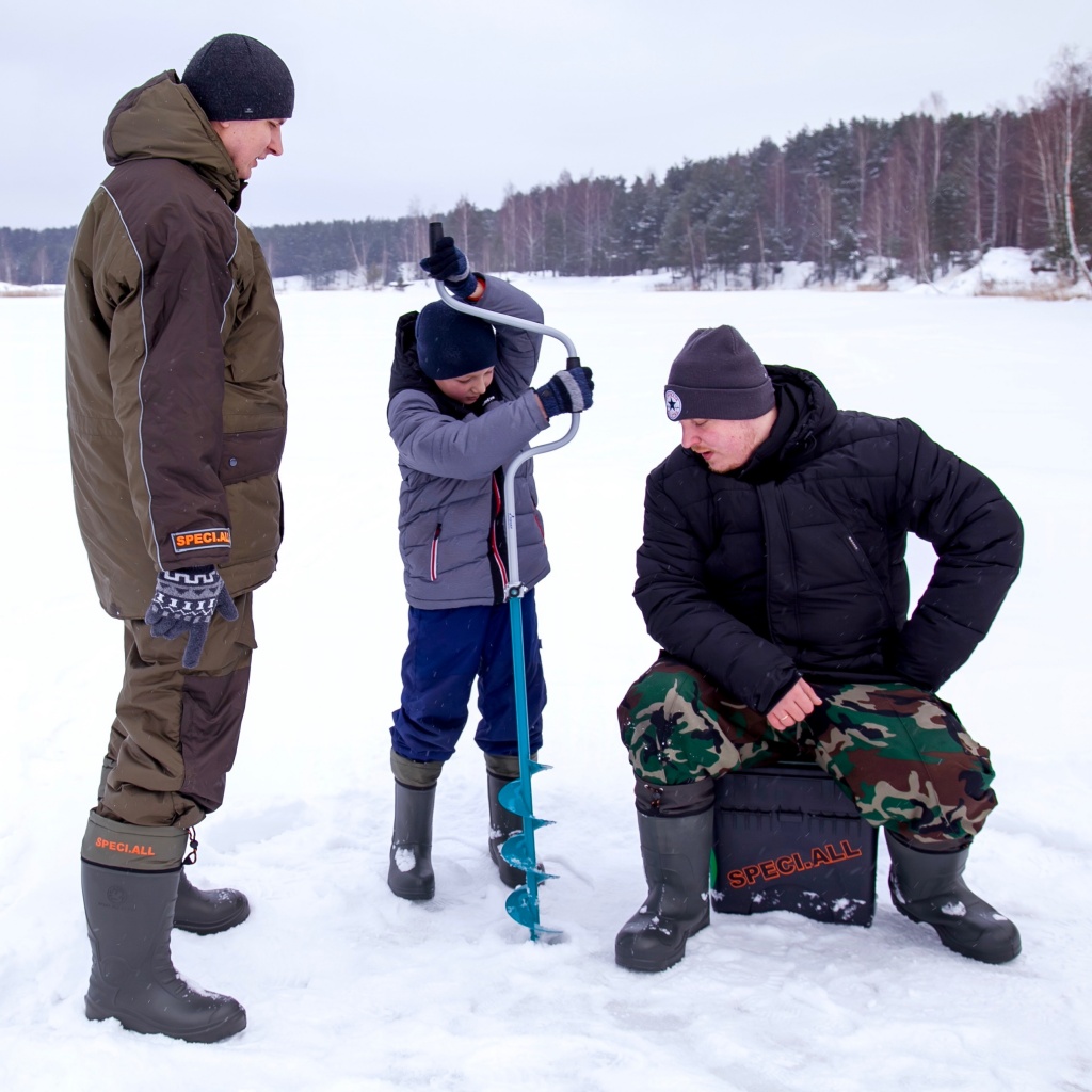 Каури.jpeg Каури.jpeg