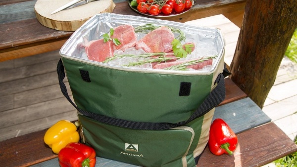 sumka_kholodilnik_klassicheskaya_tm_arktika_30l_art_3000_30_bolotnaya