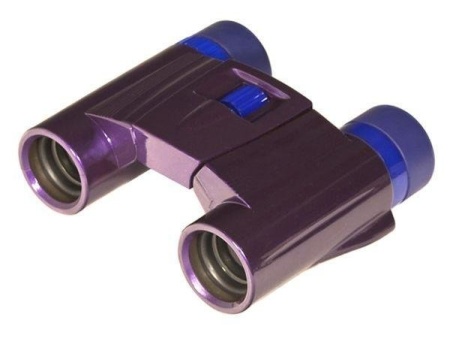 Бинокль KENKO ULTRA VIEW 8x21 DH Purple Бинокль KENKO ULTRA VIEW 8x21 DH Purple