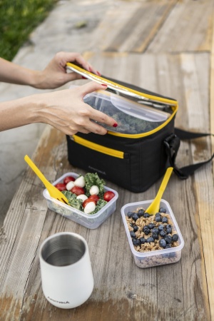 Ланч-сумка с контейнером и приборами, тм «Арктика», 2 л, арт. 020-2000-1 (чёрная)